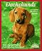 Search : Dachshunds: How to Understand and Take Care of Them (Barron's Pet Owner's Manual)