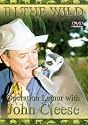 In The Wild - Lemurs With John Cleese [1998] [DVD]