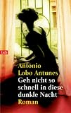 Geh nicht so schnell in diese dunkle Nacht: Roman - Ant&oacute;nio Lobo Antunes