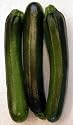 Dark Zucchini Squash 70 or More Seeds