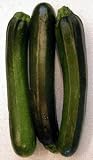 Dark Zucchini Squash - 70+ Seeds - PLUS PACK SAVINGS!
