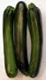 Dark Zucchini Squash - 70 Seeds - Veggie