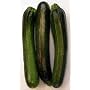 Dark Zucchini Squash 70 or More Seeds