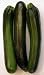 Dark Zucchini Squash 70 or More Seeds