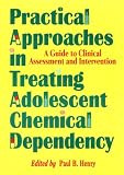 Practical Approaches in Treating Adolescent Chemical Dependency: A Guide to Clinical Assessment and Intervention