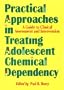 Practical Approaches in Treating Adolescent Chemical Dependency (Journal of Chemical Dependency Treatment)