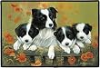 Border Collie Family dogs Doormat Rug Mat