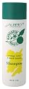 Aubrey Organics - Ginkgo Leaf & Earth Smoke Shampoo (Disc), 8 fl oz gel