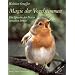Magie der Vogelstimmen: Die Sprache der Natur verstehen lernen