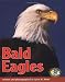 Book Bald Eagles (Early Bird Nature Books)