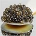 Farm Raised Osetra Caviar