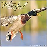 2016 Waterfowl Wall Calendar