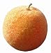 BOTANIQUE Artificial Fruits Orange 3pcs