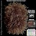 Brunette Tribble iPod Mini Case - Star Trek Inspired! WILD & EXTREME! Fits all Apple Mini Models