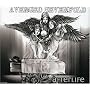 Afterlife (2 Track CD)