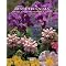 High Plains Gardening
