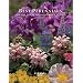 Best Perennials of the Rocky Mountains and High Plains