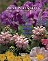 Best Perennials for the Rocky Mountains and High Plains
