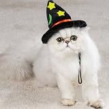Witch Hat for Cat