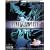 Final Fantasy (Official Strategy Guides (Bradygames))