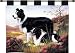 Border Collie - Artist: Robert May - Fabric Size: 34.00 by 26.00 inches Wall Tapestry with hanging rods and tassels included