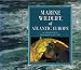Marine Wildlife of Atlantic Europe
