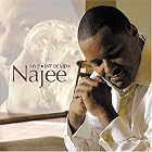 My Point of View by Najee