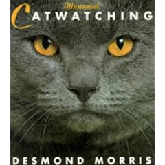 Illustrated Catwatching