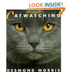 Illustrated Catwatching