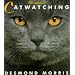 Illustrated Catwatching