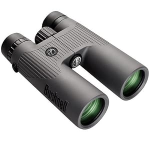bushnell natureview 8x42 roof prism binocular bushnell natureview 8x42 roof prism binocular