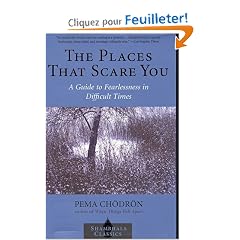 The Places That Scare You: A Guide to Fearlessness in Difficult Times