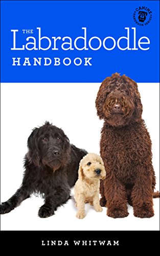 The Labradoodle Handbook (Canine Handbook Series)