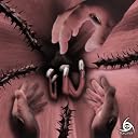 Amaryllis/Cosmos[TYPE A](�݌ɂ���B)