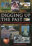 Digging Up the Past: An Introduction to Archaeological Excavation