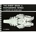The Sheep Brain: A Photographic Series