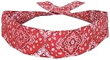 Cooldannas Hot Weather Cooling Bandanna - Red Paisley