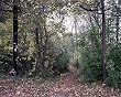 Following the Appalachian Trail Photograph - Beautiful 16"x20" Photographic Print by Carol M. Highsmith