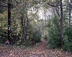 Following the Appalachian Trail Photograph - Beautiful 16"x20" Photographic Print by Carol M. Highsmith