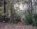 Following the Appalachian Trail Photograph - Beautiful 16"x20" Photographic Print by Carol M. Highsmith