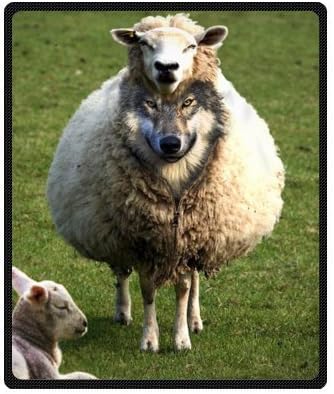 a Wolf in Sheep's Clothing Printed Fleece Throw Blanket 50" x 60" (Medium)