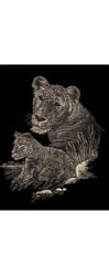 Copper Engraving Lioness
