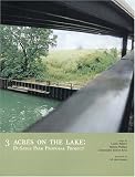 3 Acres on the Lake: DuSable Park Proposal Project