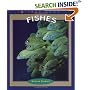 Fishes (True Books : Animals)