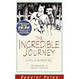 The Incredible Journey