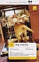 Teach Yourself Dog Training (Teach Yourself General)