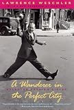  : A Wanderer in the Perfect City: Selected Passion Pieces