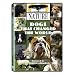 Best Resources on Dog Development & Behavior