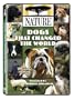Nature: Dogs That Changed the World