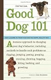 Good Dog 101: Easy Lessons to Train Your Dog the Happy, Healthy Way